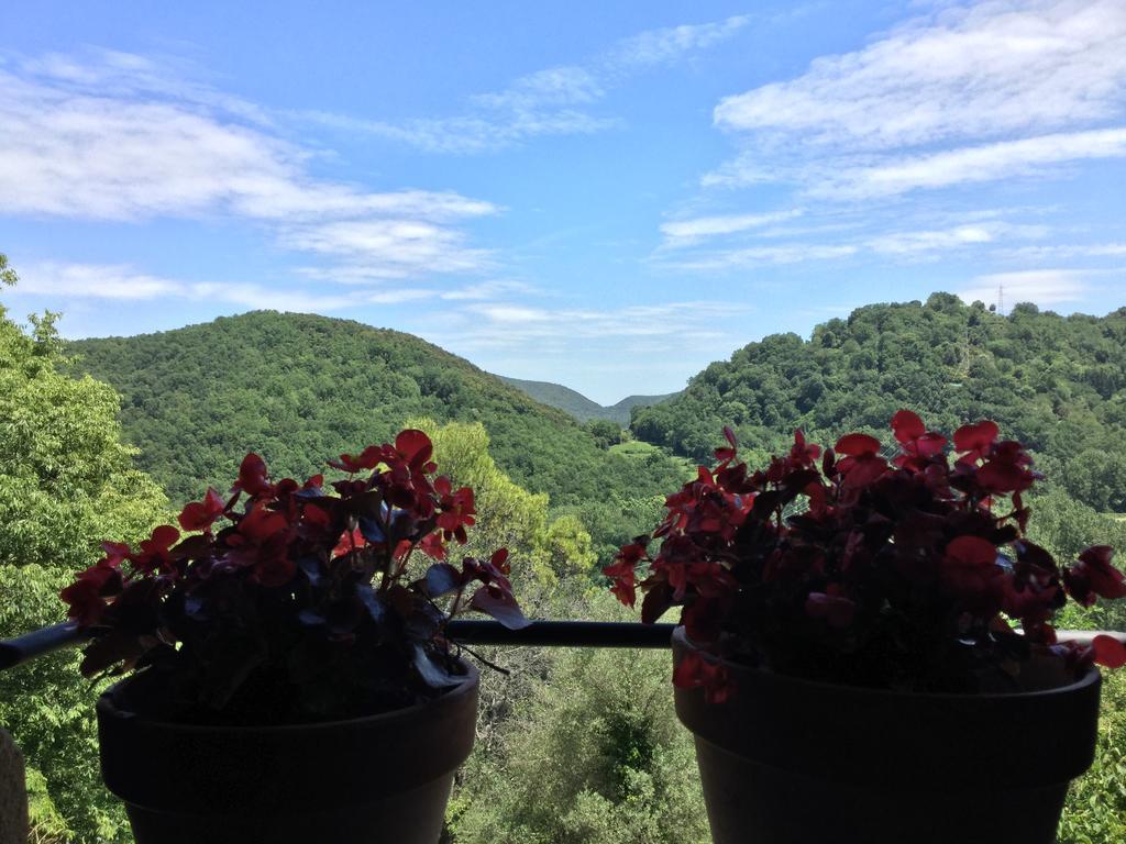 Vakantiehuis Mas Pardas Santa Pau